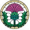 scotland thistle.jpg